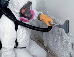 Best Environmental Consulting for Mold Prevention in Abingdon, MD